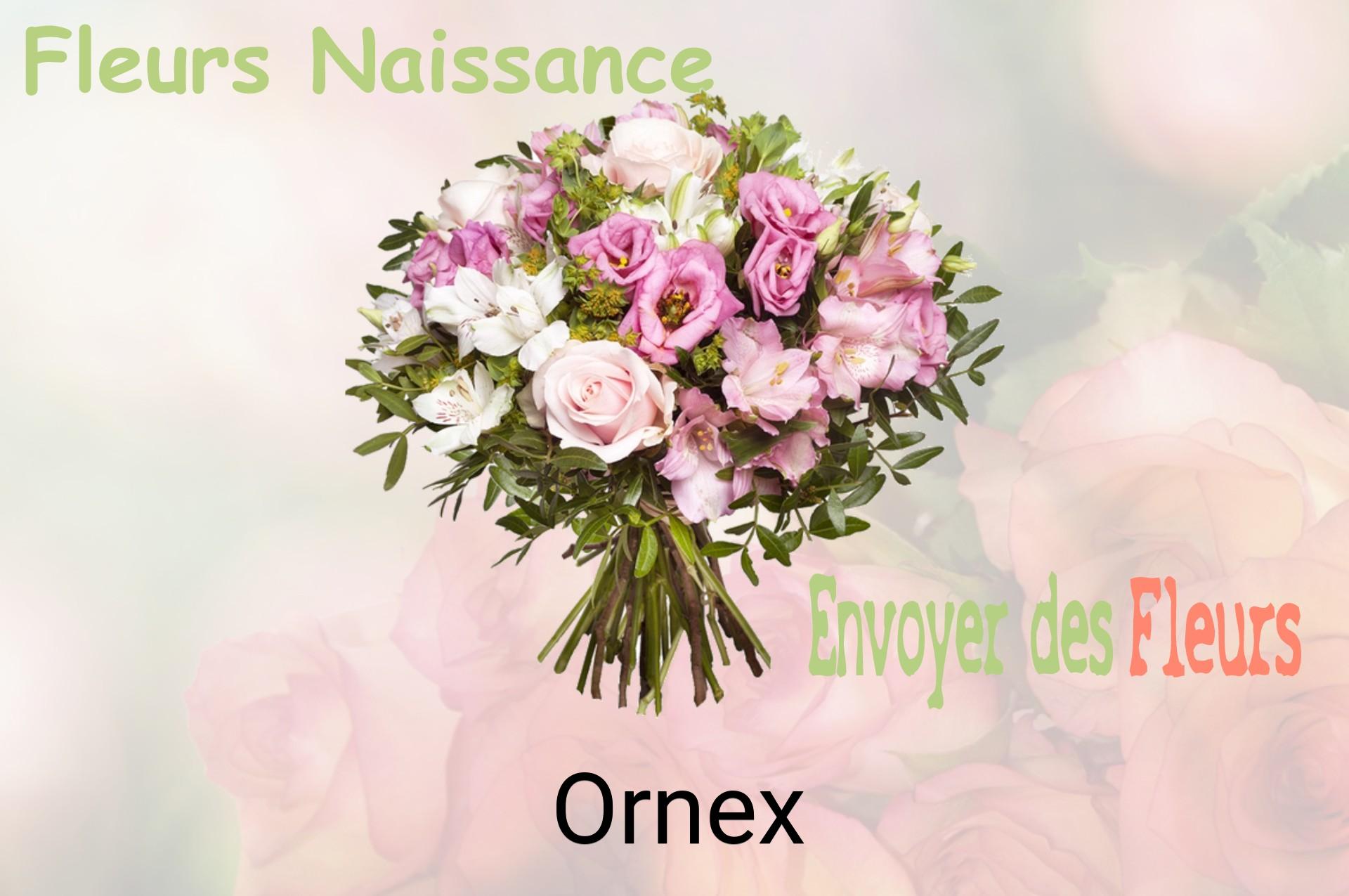 Bouquet de fleurs de naissance livré à Ornex